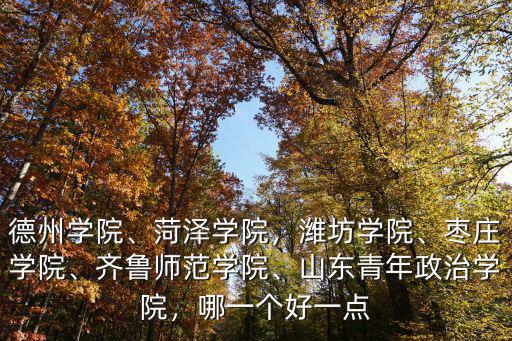 德州學(xué)院、菏澤學(xué)院，濰坊學(xué)院、棗莊學(xué)院、齊魯師范學(xué)院、山東青年政治學(xué)院，哪一個(gè)好一點(diǎn)
