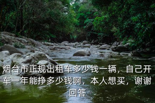 煙臺市正規出租車多少錢一輛，自己開車一年能掙多少錢啊，本人想買，謝謝回答