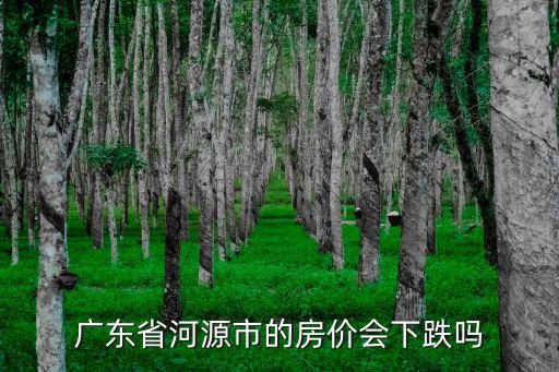 廣東省河源市的房價會下跌嗎