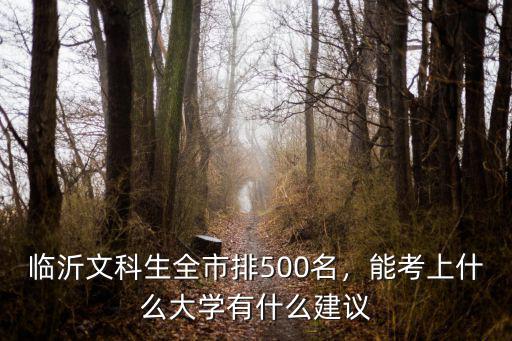 臨沂市全市高一學生有多少名,臨沂全市計劃招多少高一學生