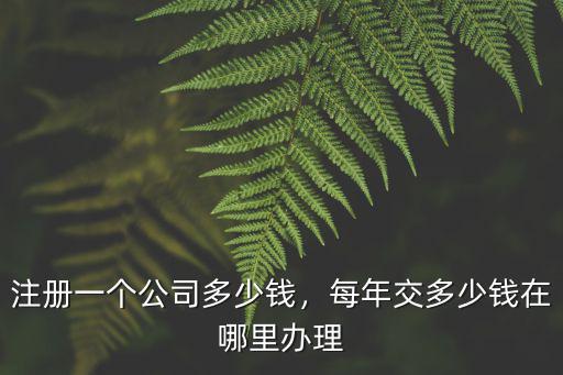 注冊一個公司多少錢，每年交多少錢在哪里辦理