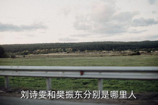 劉詩雯和樊振東分別是哪里人
