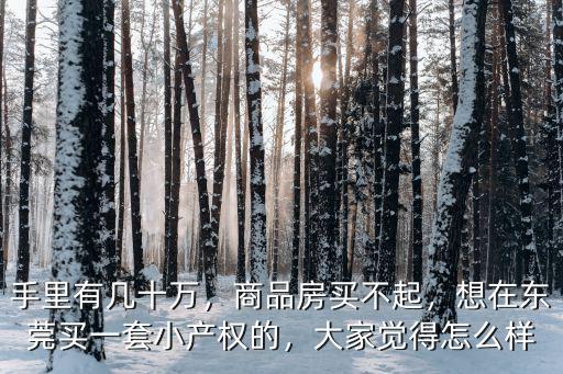 手里有幾十萬，商品房買不起，想在東莞買一套小產(chǎn)權的，大家覺得怎么樣