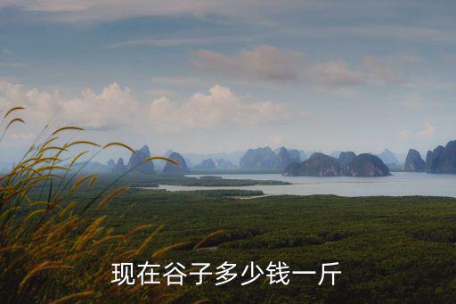 現(xiàn)在谷子多少錢一斤