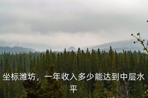 坐標濰坊，一年收入多少能達到中層水平