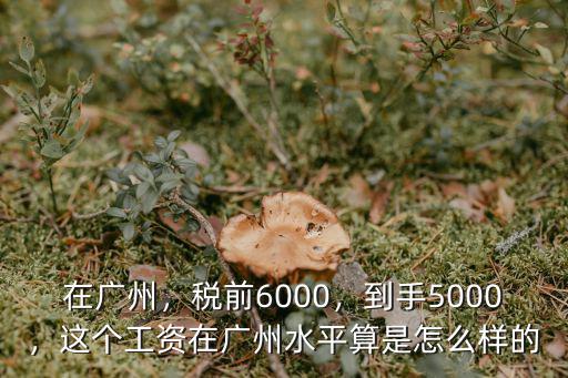 廣州稅前7000稅后多少,稅前6000