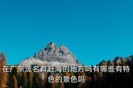 在廣東茂名有趕海的地方嗎有哪些有特色的景色嗎