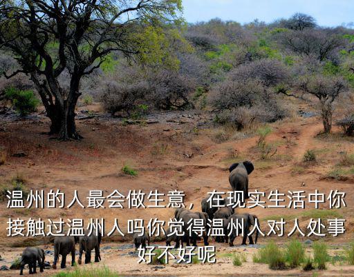 溫州的人最會做生意，在現實生活中你接觸過溫州人嗎你覺得溫州人對人處事好不好呢