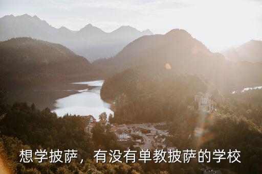 廣東哪里有披薩學校,哪里有學做披薩的