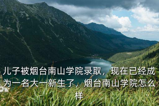 煙臺南山學院藝術生招了多少人,兒子被煙臺南山學院錄取