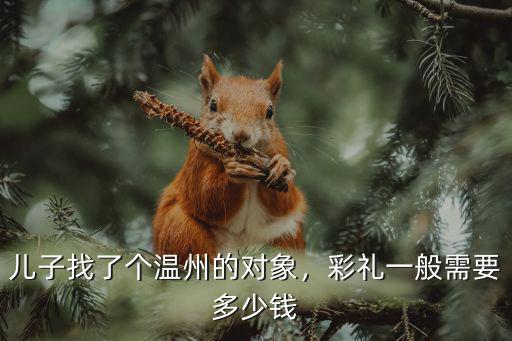 溫州龍燈多少錢一臺,彩禮一般需要多少錢