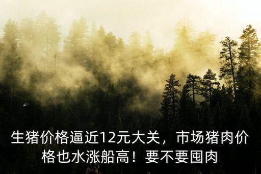 生豬價格逼近12元大關，市場豬肉價格也水漲船高！要不要囤肉
