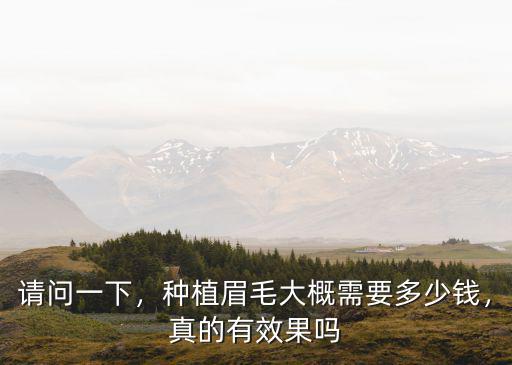 請問一下，種植眉毛大概需要多少錢，真的有效果嗎