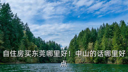 東莞哪里買平點,中山的話哪里好點