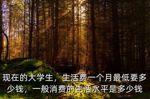濟(jì)寧大學(xué)生一個(gè)月生活費(fèi)多少錢,一般消費(fèi)的生活水平是多少錢