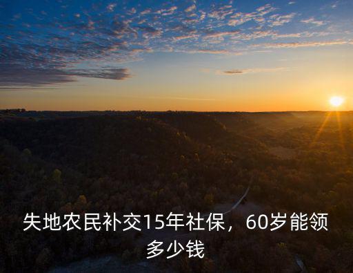臨沂補繳社保15年能領多少,失地農民補交15年社保