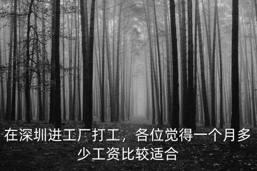 在深圳進工廠打工，各位覺得一個月多少工資比較適合