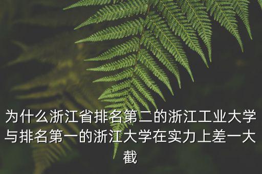 浙江大學校排名多少,和浙江大學哪個排名高