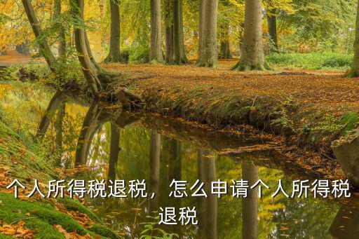 東莞個人所得稅退稅怎么辦理,個人所得稅退稅