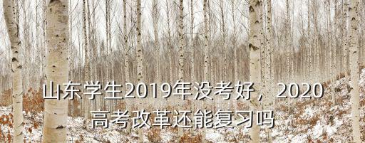 臨沂市2Ol9年有多少高考學(xué)生,2019年高考多少分能考上