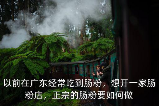 正宗的廣東腸粉怎么做的視頻,廣東腸粉正宗的配方怎么調