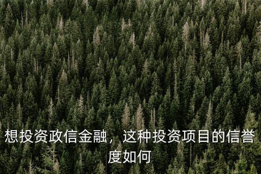 想投資政信金融，這種投資項目的信譽度如何