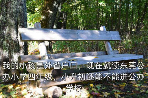 怎么能進東莞公辦學校,現在就讀東莞公辦小學四年級