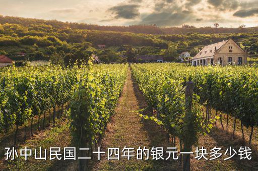 孫中山民國二十四年的銀元一塊多少錢