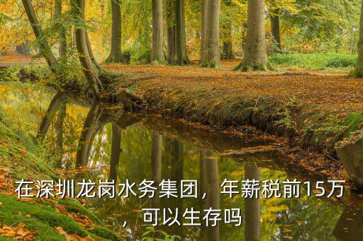 深圳納才集團怎么樣,在深圳龍崗水務(wù)集團