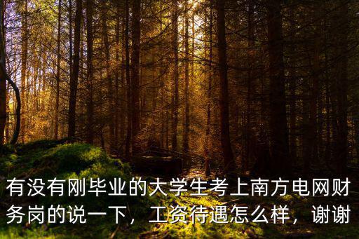 廣東電網財務工資待遇怎么樣,南方電網待遇怎么樣