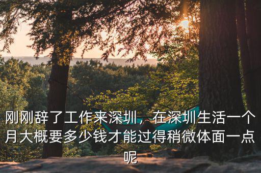 深圳一個工作多月工資多少,剛剛辭了工作來深圳