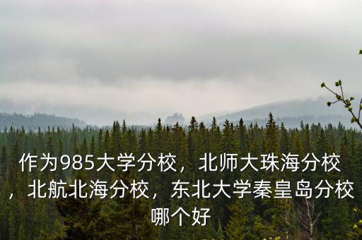 作為985大學分校，北師大珠海分校，北航北海分校，東北大學秦皇島分校哪個好
