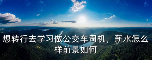 在廣州做大客車司機怎么樣,雙證司機在大廣州怎么活啊
