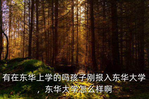中山東華大學怎么樣,南華大學怎么樣