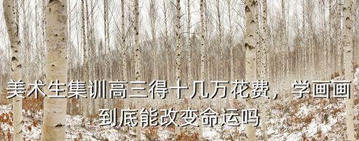 美術(shù)生集訓(xùn)高三得十幾萬花費(fèi)，學(xué)畫畫到底能改變命運(yùn)嗎