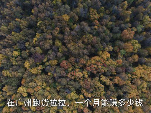 在廣州跑貨拉拉，一個月能賺多少錢