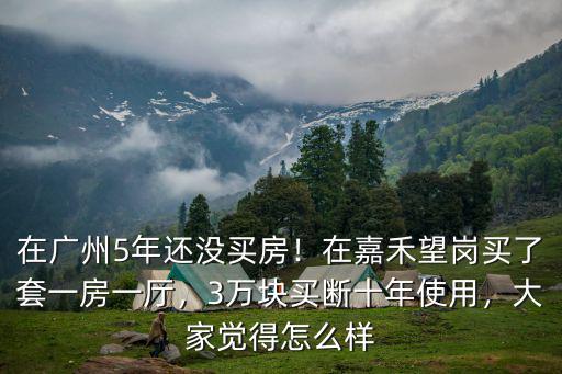 廣州嘉禾望崗房子怎么樣,廣州嘉禾望崗發展的怎么樣