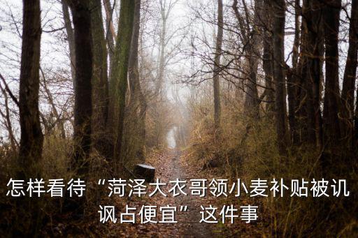怎樣看待“菏澤大衣哥領小麥補貼被譏諷占便宜”這件事