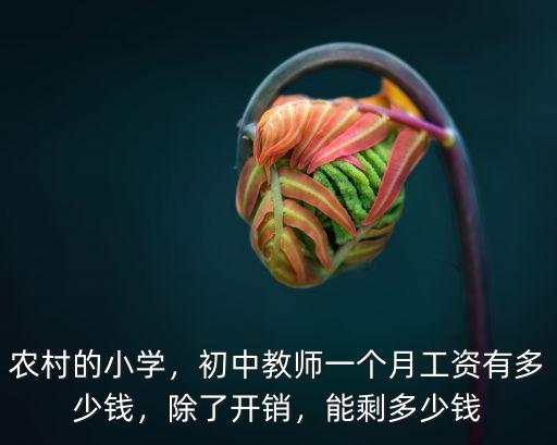 農村的小學，初中教師一個月工資有多少錢，除了開銷，能剩多少錢