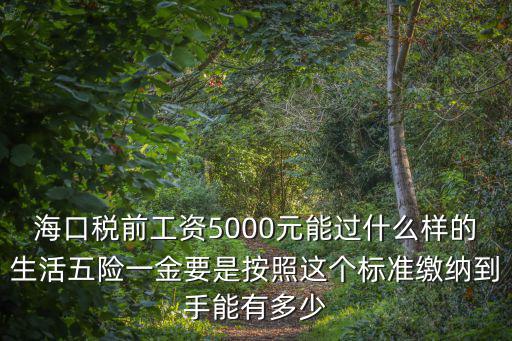 海口稅前工資5000元能過什么樣的生活五險一金要是按照這個標準繳納到手能有多少
