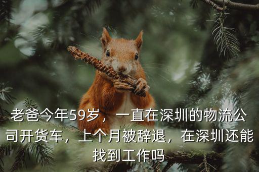 怎么在深圳找搬運工作,一直在深圳的物流公司開貨車