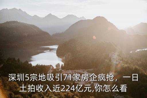 深圳土拍一天收入多少,深圳最大規(guī)模土拍突然中止