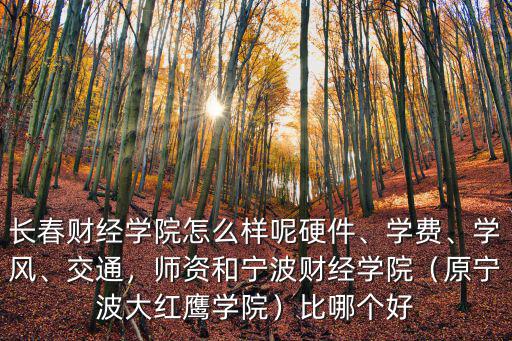 長春財經學院怎么樣呢硬件、學費、學風、交通，師資和寧波財經學院（原寧波大紅鷹學院）比哪個好