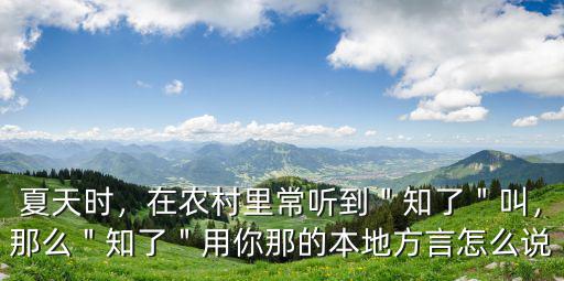 知了潮州話怎么說(shuō),在農(nóng)村里常聽(tīng)到＂知了＂叫