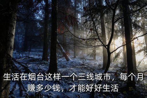 煙臺外賣一個月多少,煙臺算幾線城市