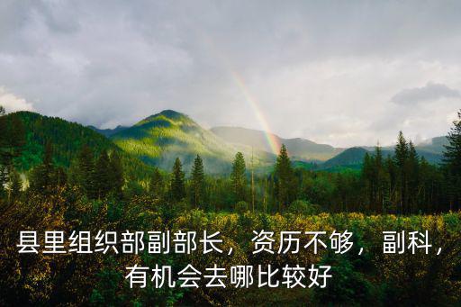 縣里組織部副部長(zhǎng)，資歷不夠，副科，有機(jī)會(huì)去哪比較好