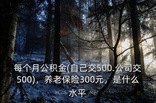 每個月公積金(自己交500.公司交500)，養(yǎng)老保險300元，是什么水平