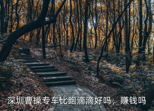 深圳曹操專車比跑滴滴好嗎，賺錢嗎
