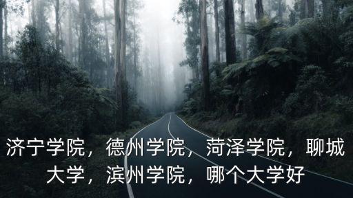 濟寧學院，德州學院，菏澤學院，聊城大學，濱州學院，哪個大學好