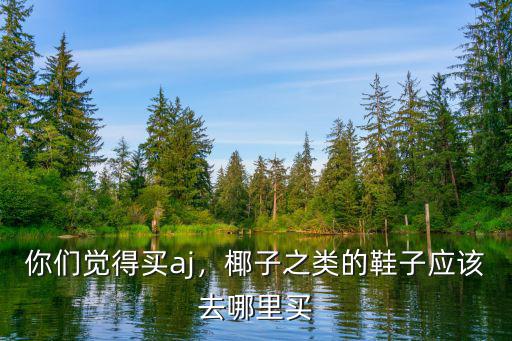 廣州aj去哪里買,椰子之類的鞋子應(yīng)該去哪里買
